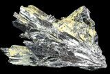 Metallic Stibnite Crystal Cluster - China #93679-1